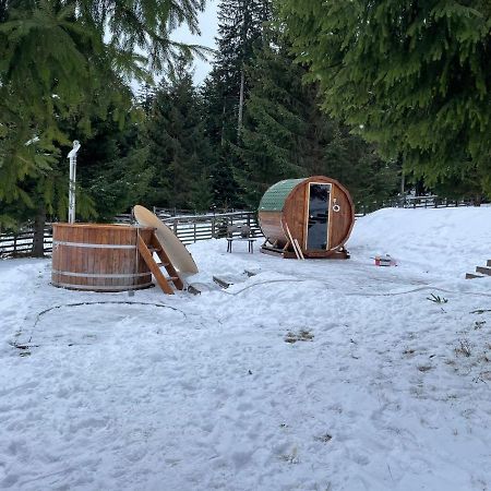 Hotel Floare De Colt Mînăstirea Humorului Exteriör bild