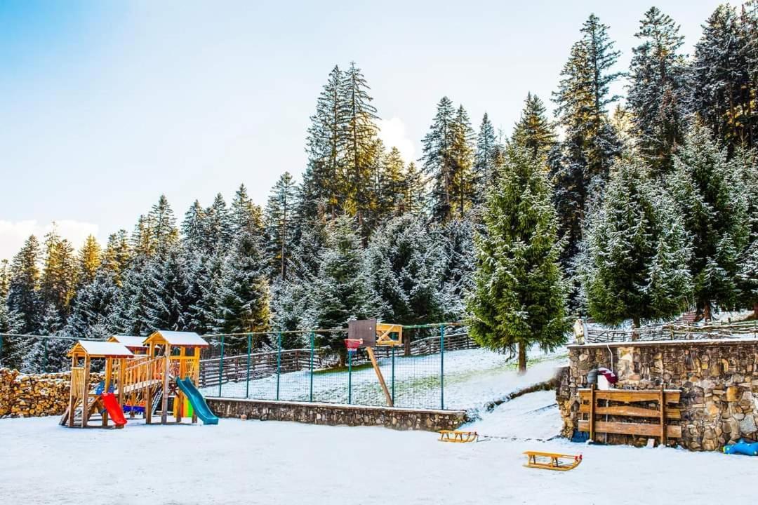 Hotel Floare De Colt Mînăstirea Humorului Exteriör bild