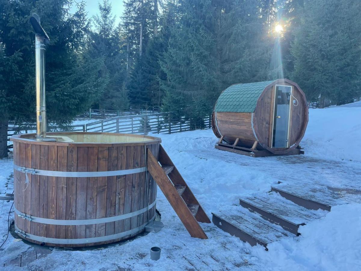 Hotel Floare De Colt Mînăstirea Humorului Exteriör bild
