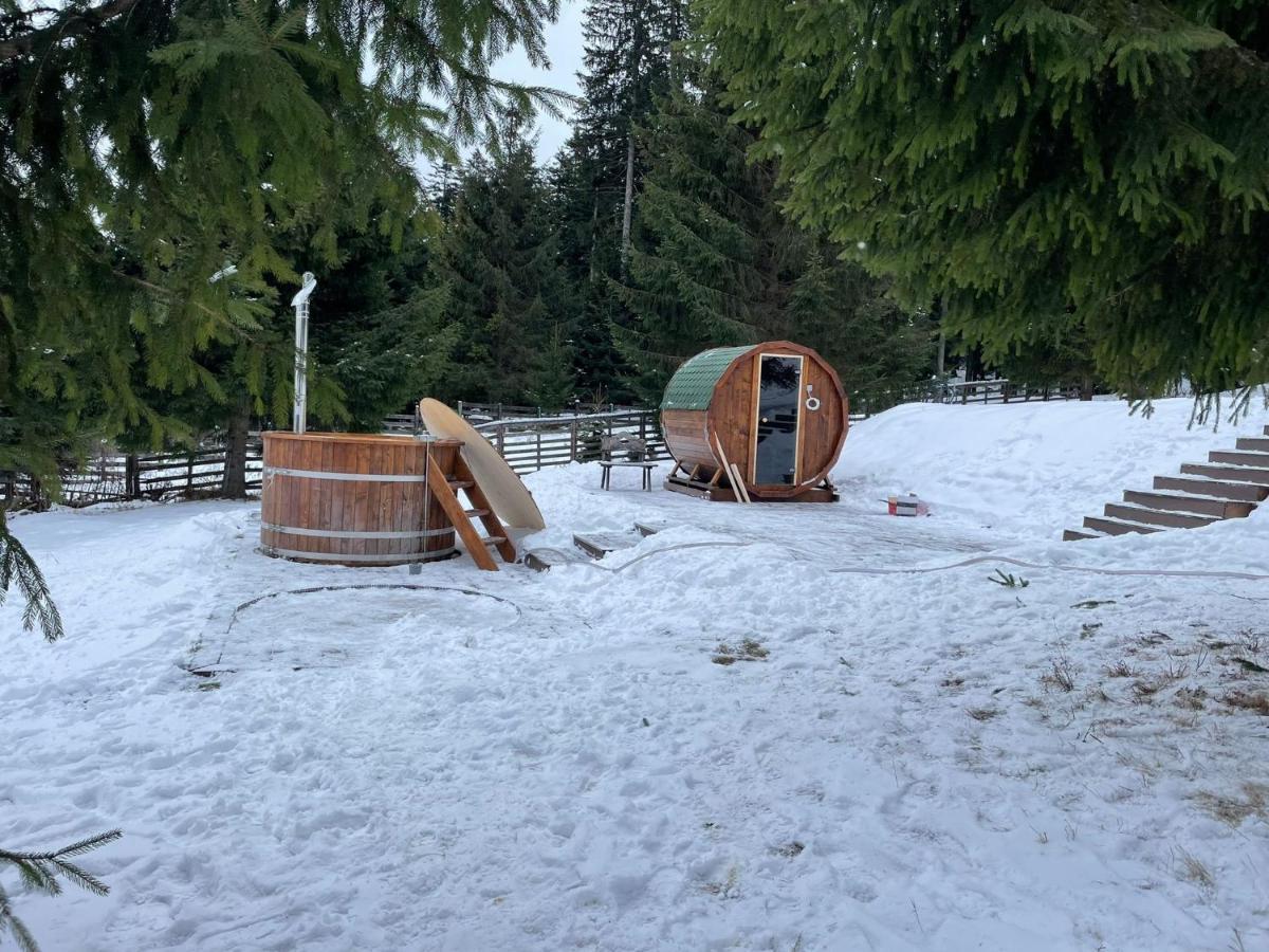 Hotel Floare De Colt Mînăstirea Humorului Exteriör bild