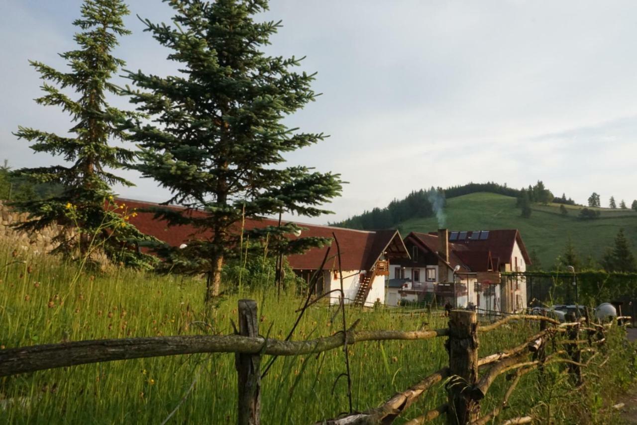 Hotel Floare De Colt Mînăstirea Humorului Exteriör bild